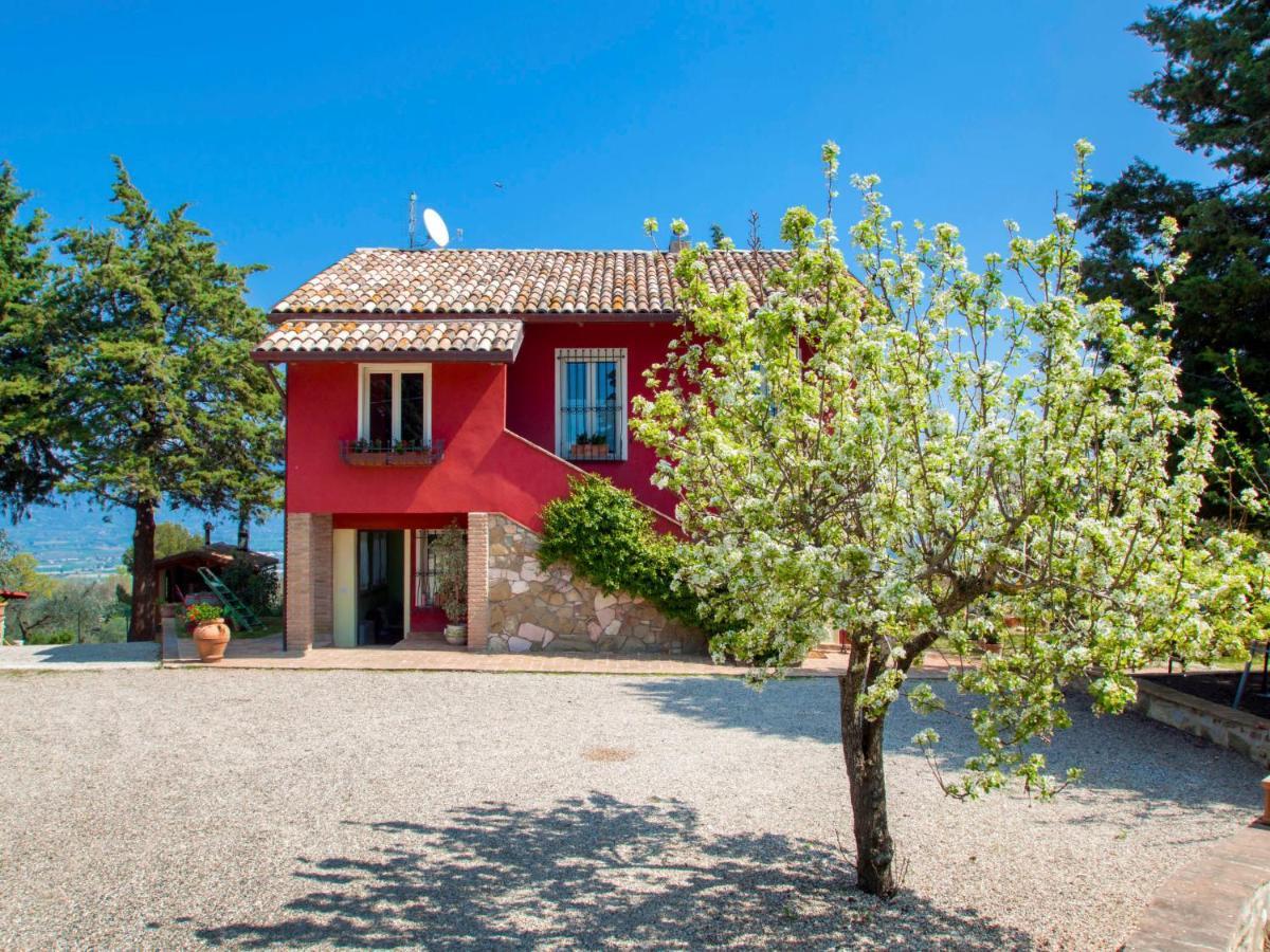 Villa Locazione Turistica La Letizia Collemancio Esterno foto